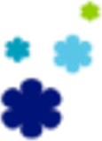 Blossom Education Investment L.L.C. logo